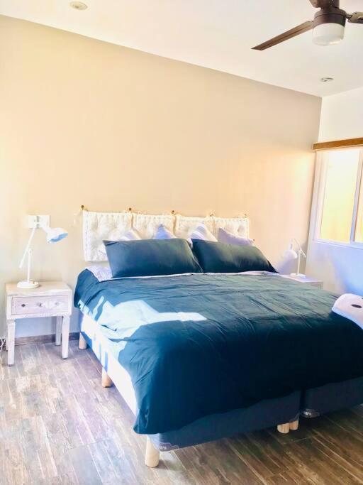 Casa Sunshine - Beach, River, Mountain Views! 罗萨里托 外观 照片